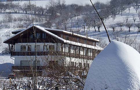 iarna