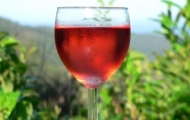 rose2