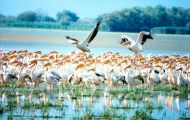 targdelta