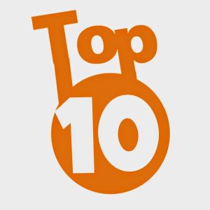 top10companiibauturi2014