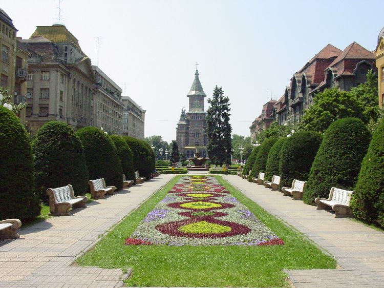 centru Timisoara