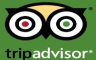 TripAdvisor a anunţat trendurile industriei travel în 2012