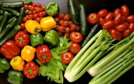 UE şi SUA au semnat un parteneriat pentru agricultura ecologică