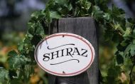 Shiraz Masters, degustare marca Vinul.ro