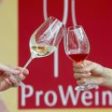 VINVEST reunește producătorii de vin cu reprezentanții HoReCa