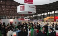 Începe ProWein 2013. România, bine reprezentată la târg