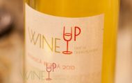 WINEUP® FAIR IN TRANSYLVANIA
