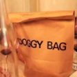 Legea “Doggy Bag”, introdusă în Franța
