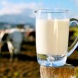 Piaţa produselor lactate bio, în creștere