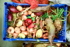 Locul mâncării e în farfurii, nu în pubele!