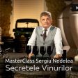 Masterclass cu Sergiu Nedelea pe platforma Life-university.ro