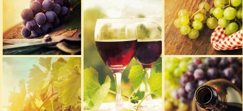 Vinurile biodinamice, organice sau naturale – un ghid pe înțelesul tuturor