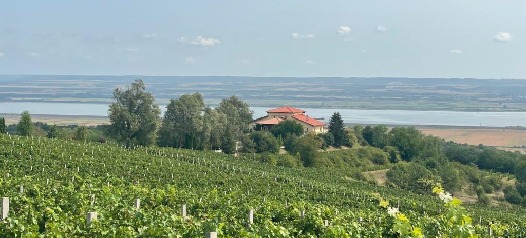 20 de ani de la vinificarea primei recolte a Cramei Știrbey