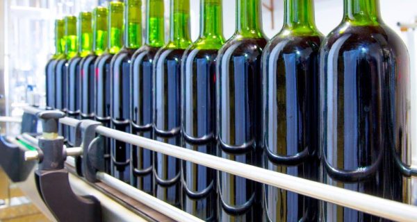 Cum afectează temperaturile extreme din acest an industria vinicolă?