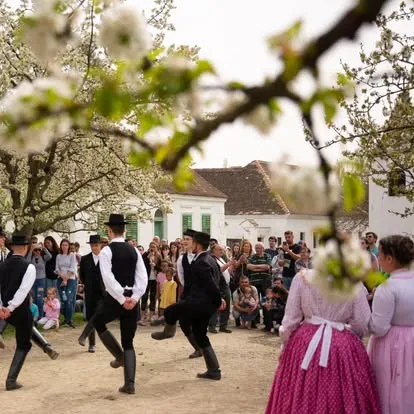 Cel mai mare muzeu al satului din Ungaria promovează gastronomia românească