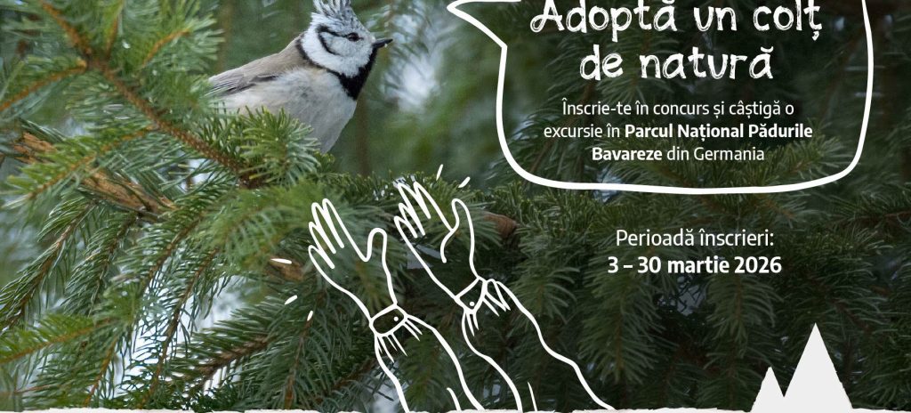 Copiii din jurul Munților Făgăraș pot ajunge în Parcul Național Pădurile Bavareze prin programul „Adoptă un colț de natură”