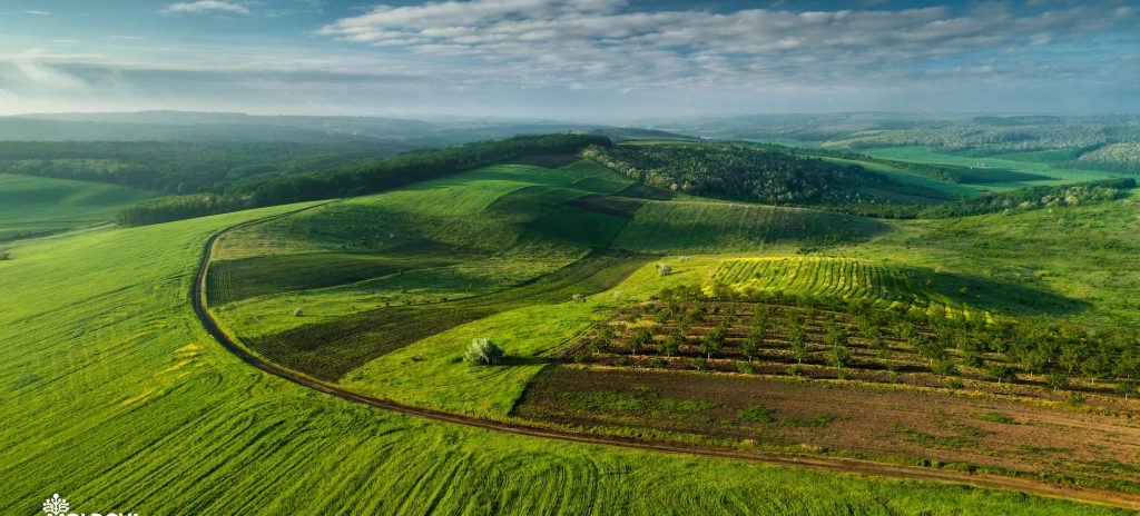 Republica Moldova lansează platforma oficială www.moldova.md