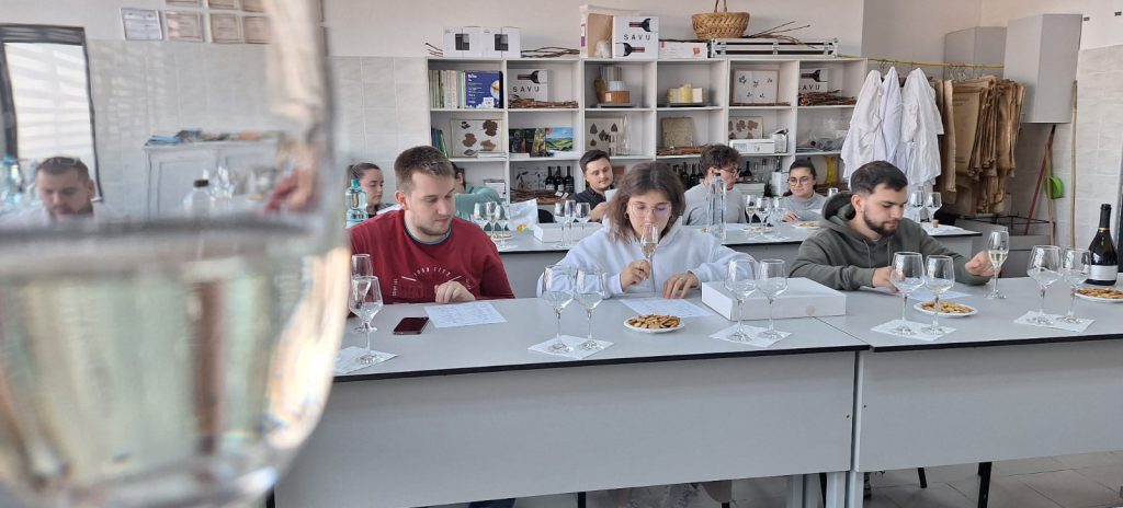 Vinul ca practică universitară, din vie până în piață