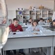 Vinul ca practică universitară, din vie până în piață